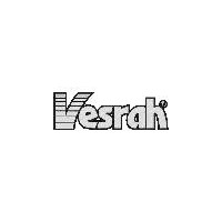 Vesrah Brake Pads