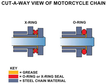 chain cutaway